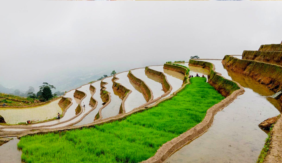 Thon Lung Vai