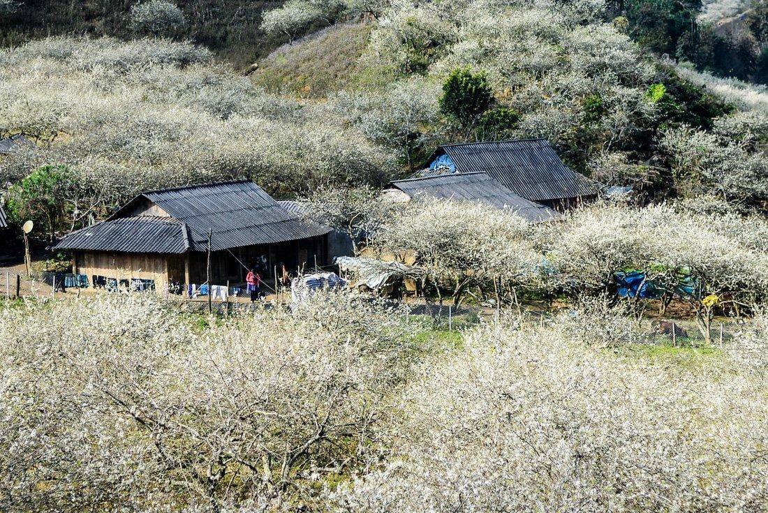 thung-lung-man-na-ka-xu-so-hoa-man-dep-nhu-tien-canh-01-1644767484