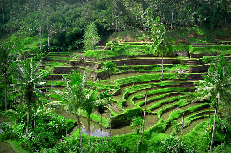 z4976906813838 7c927e2f48b719da40fcaabc485c397f