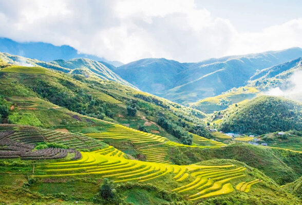 Thung lũng Mường Hoa