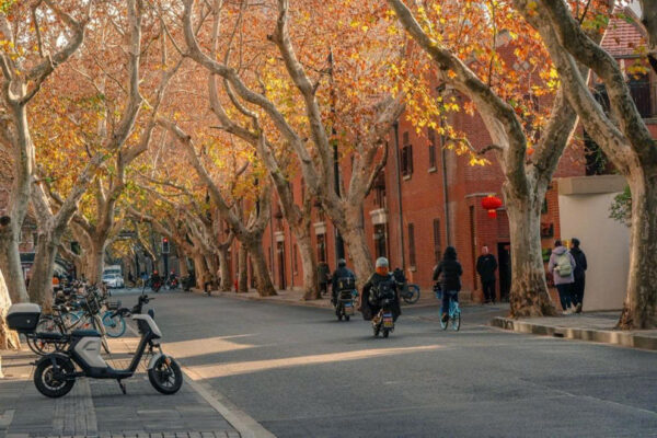 Khám phá tour Thượng Hải mùa thu cùng Like Tour.