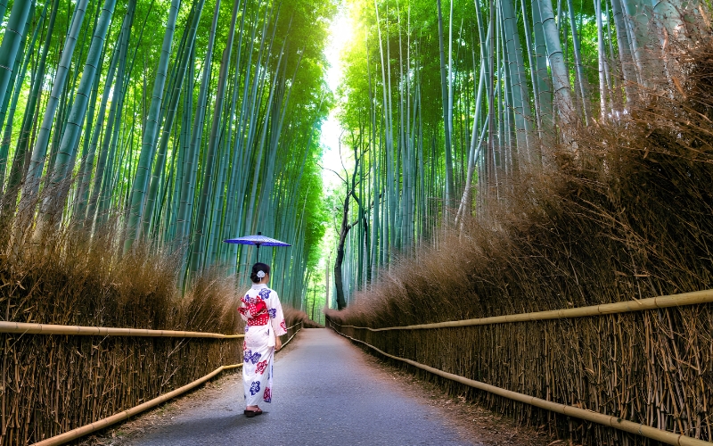 Tour Nhật Bản 5N4Đ cùng Like Tour.