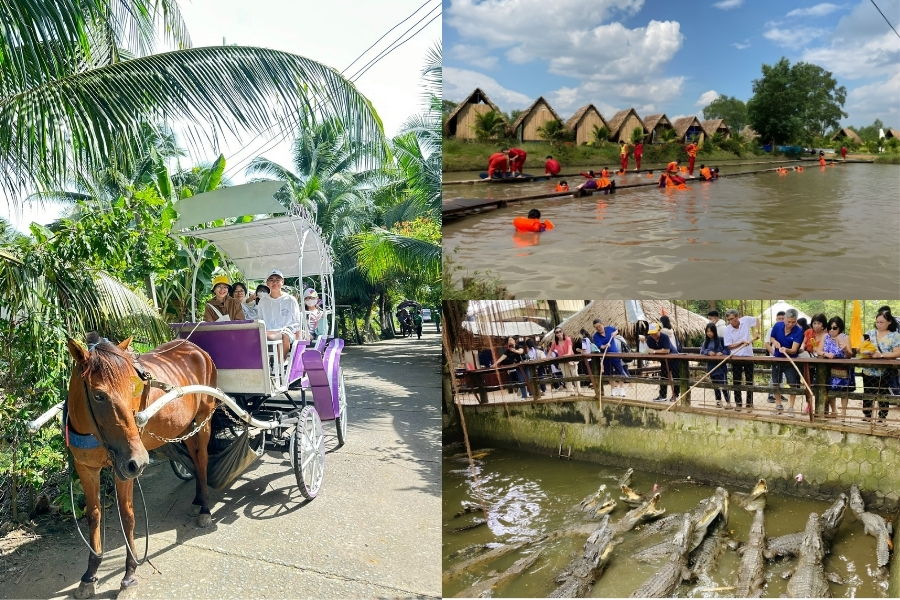 Trải nghiệm các hoạt động vui chơi tại khu du lịch sinh thái Cồn Phụng