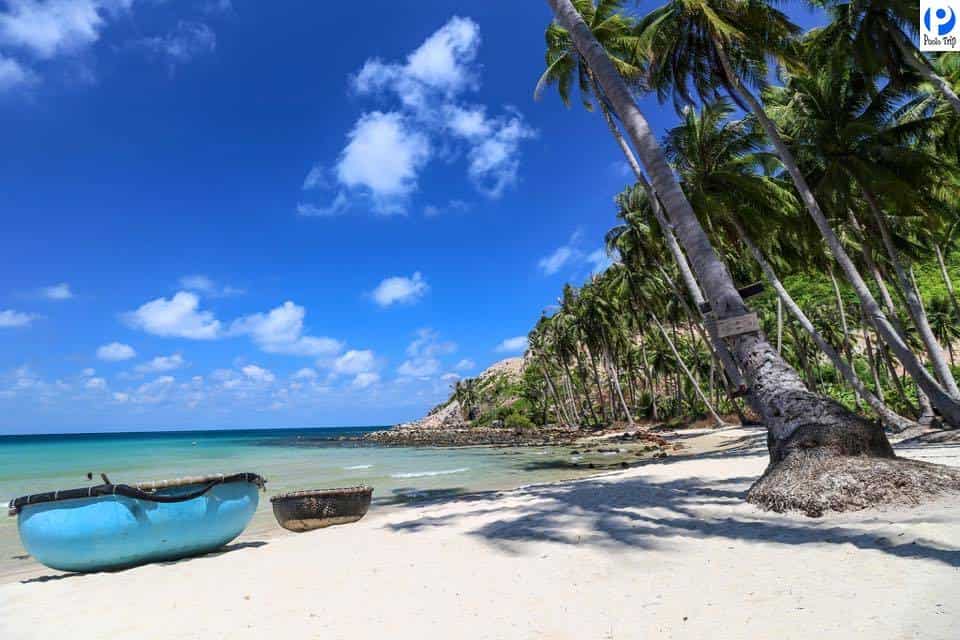 Bãi Mến hoang sơ với hàng dừa nghiêng bóng, điểm đến đẹp nhất đảo Nam Du trong tour của Like Tour.