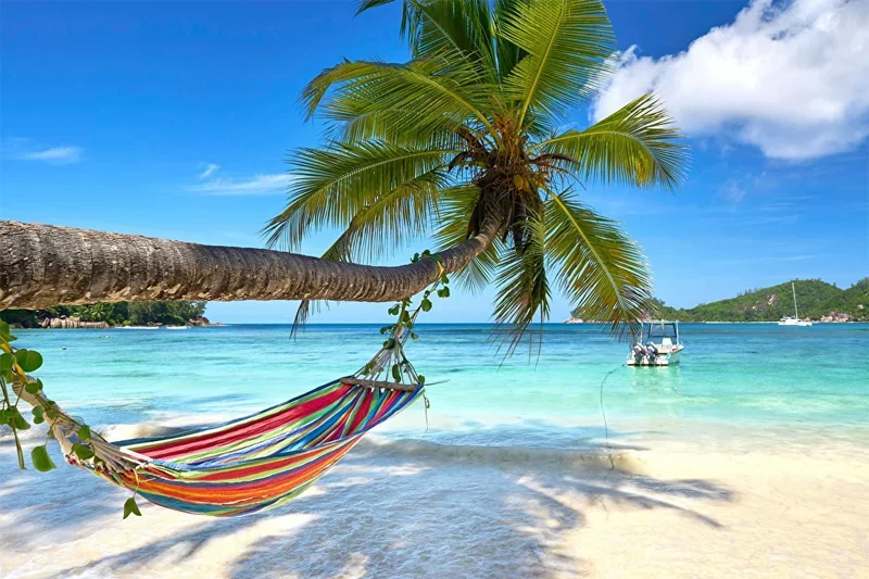 Cảnh đẹp đảo Nam Du hoang sơ trong hành trình tour liên tuyến Cà Mau Nam Du của Like Tour.