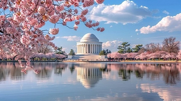 Hồ Tidal Basin Washington DC lễ hội hoa anh đào mùa xuân tour Bờ Đông nước Mỹ Like Tour