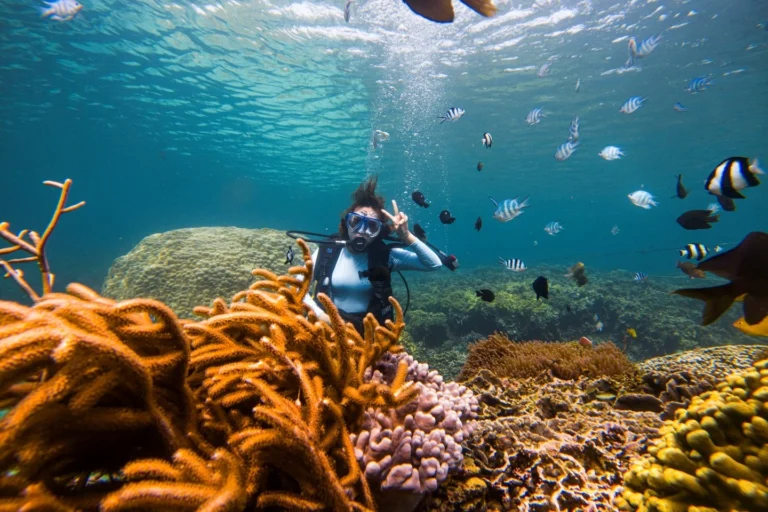 Du khách trải nghiệm lặn ngắm san hô rực rỡ dưới đáy biển Đảo Bình Hưng trong tour của Like Tour.