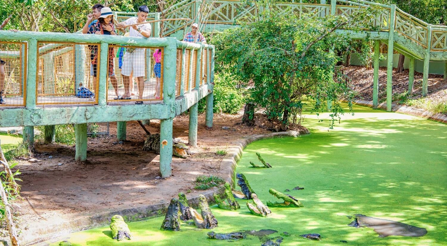 Khám phá khu rừng Minera Forest tại Bình Châu trong tour đoàn Like Tour