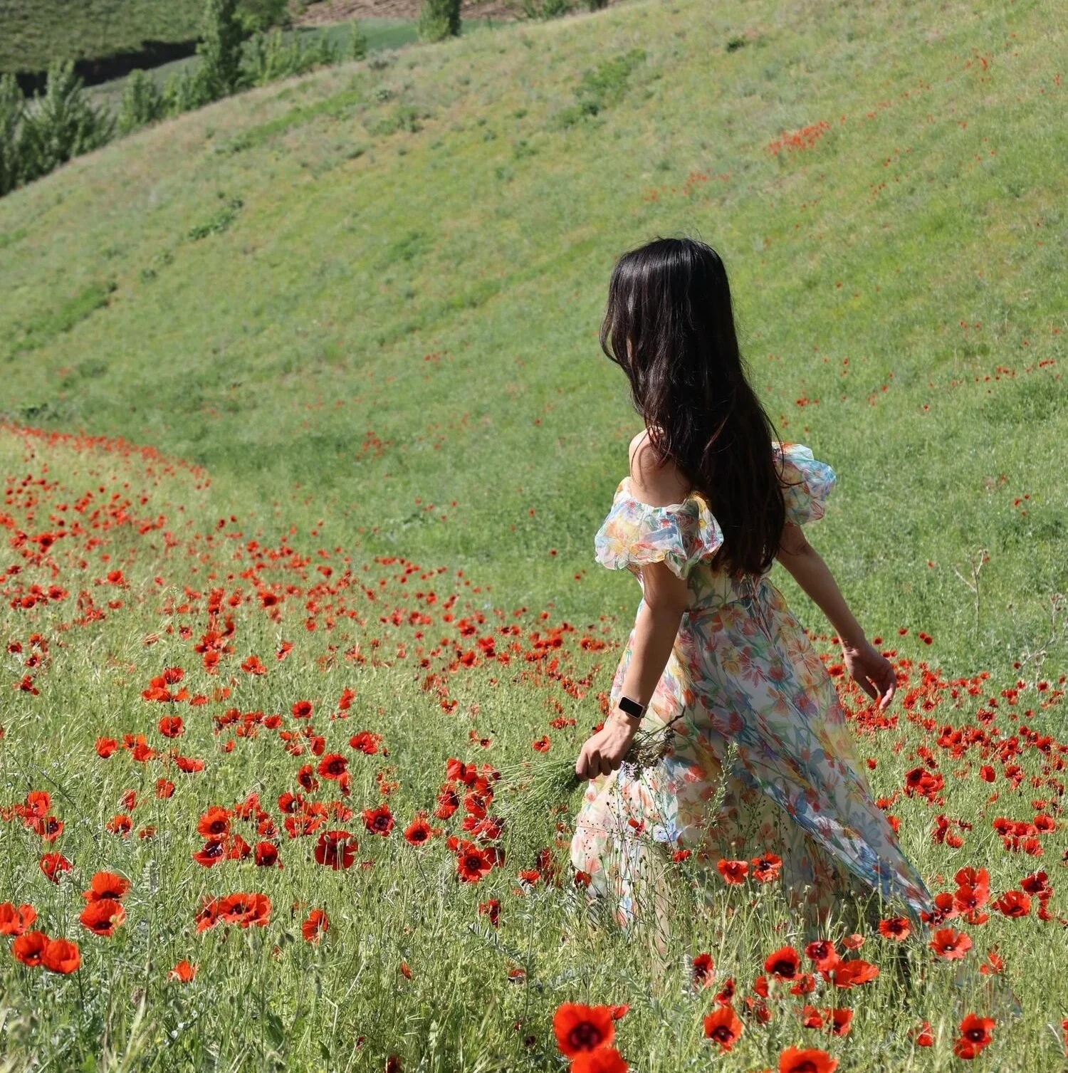 Biển hoa Thiên Sơn Tân Cương thảm hoa rực rỡ dưới chân núi tuyết Thiên Sơn hùng vĩ